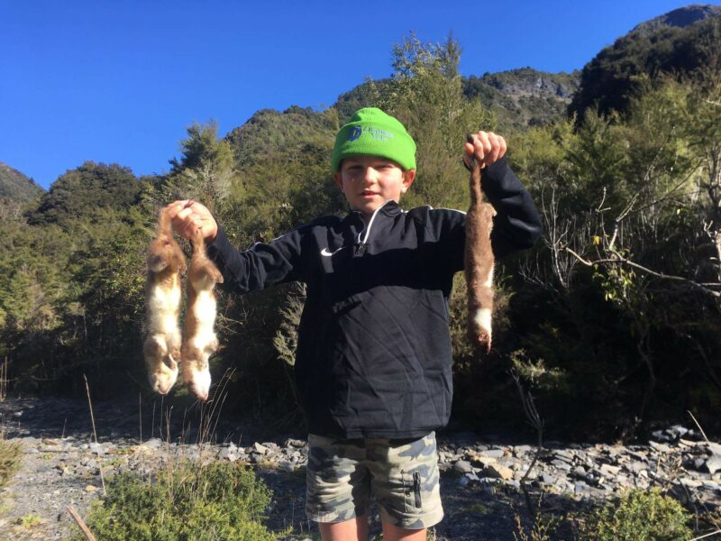 child holding trapped stoats