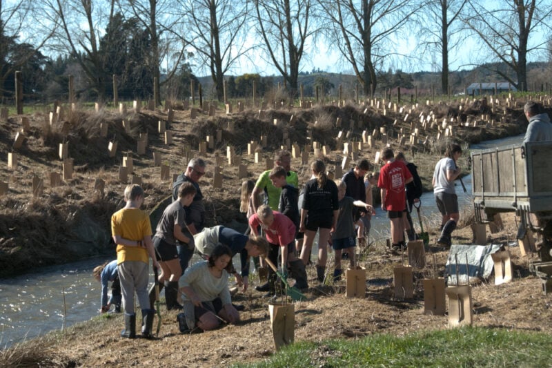 Checking out recent riparian plantings at Beuke Bush, Tasman district